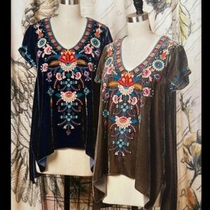 Johnny WAS Velvet Embroidered TOP Xs Runs Big